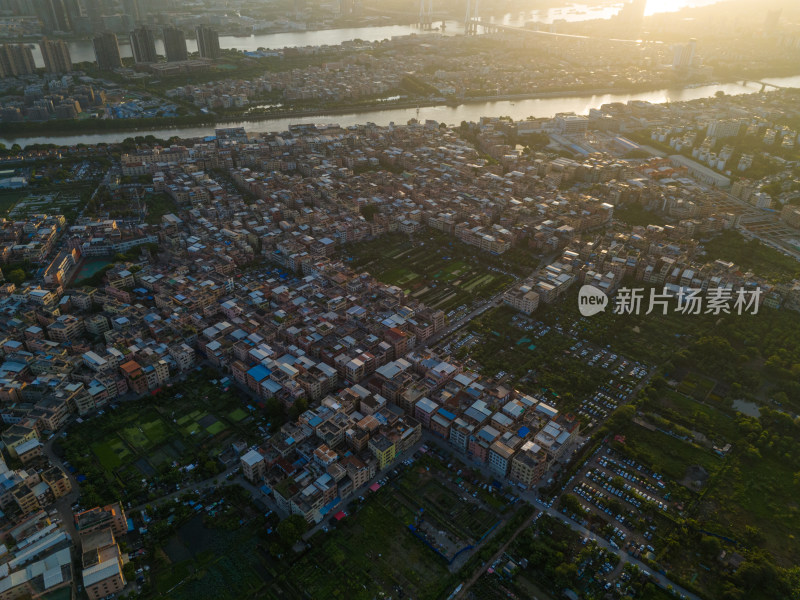 广州番禺南浦岛 洛溪岛