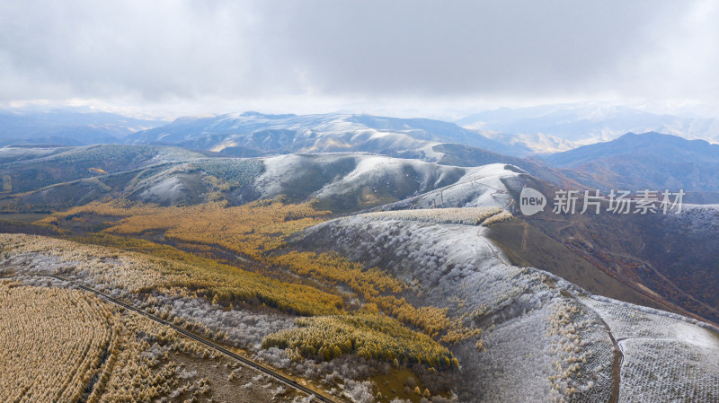 高山地区雪景与多彩植被的壮丽景象