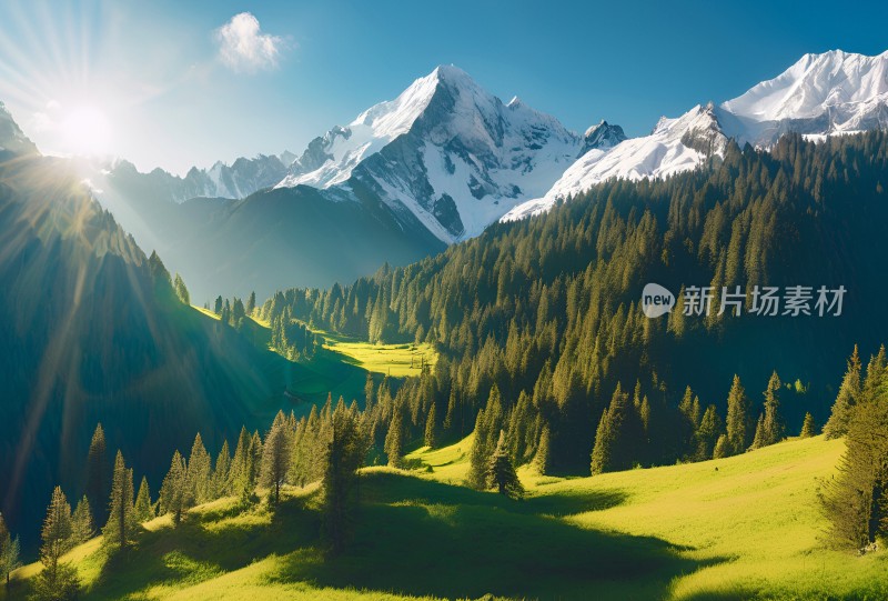 雪山高原草原森林风景