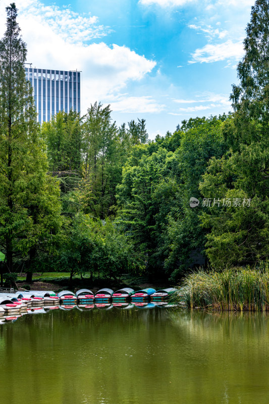 上海植物园自然风景景点景观