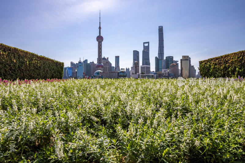 上海外滩外白渡桥陆家嘴黄浦江城市景观