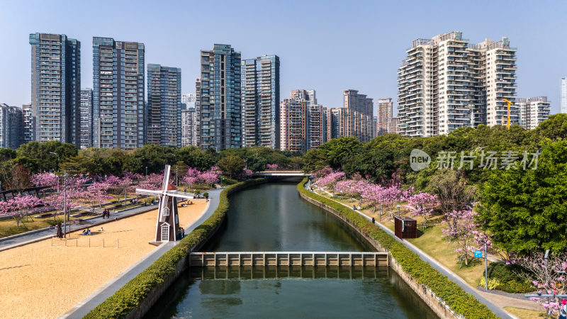 深圳市南山区后海中心河公园