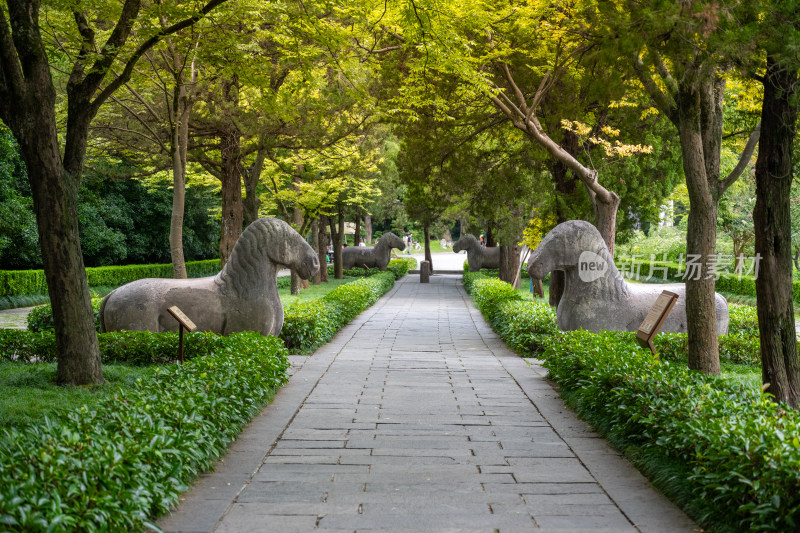 南京钟山明孝陵景区石像路夏季