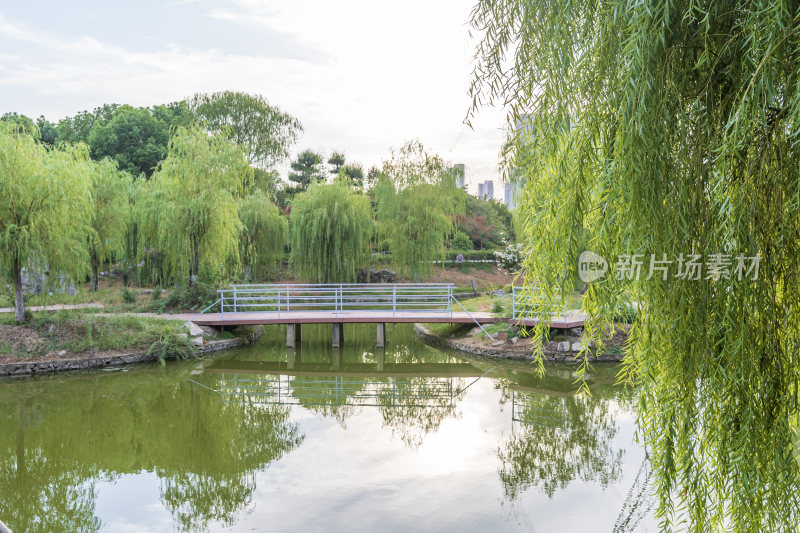 武汉江夏区谭鑫培公园风景