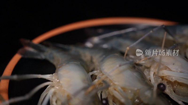 大头虾罗氏虾海鲜水产美食