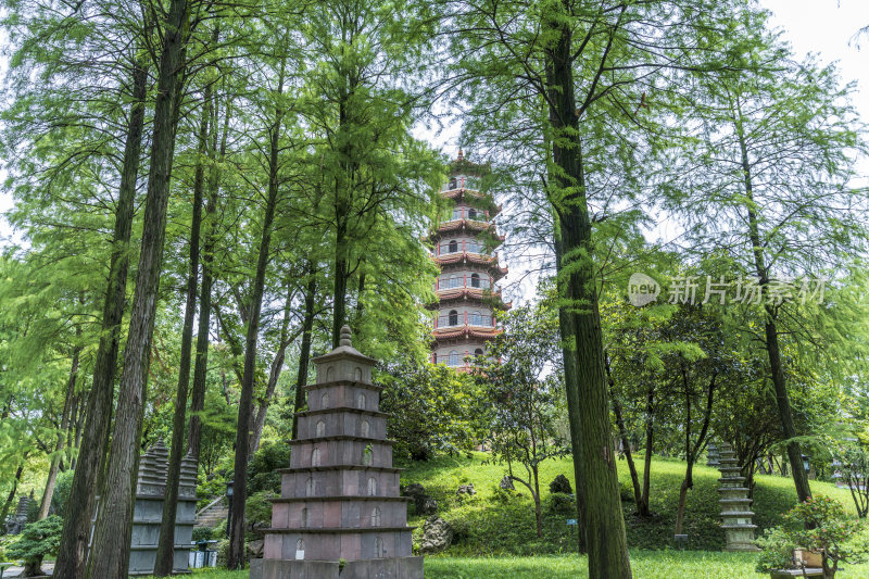 武汉江岸区解放公园风景