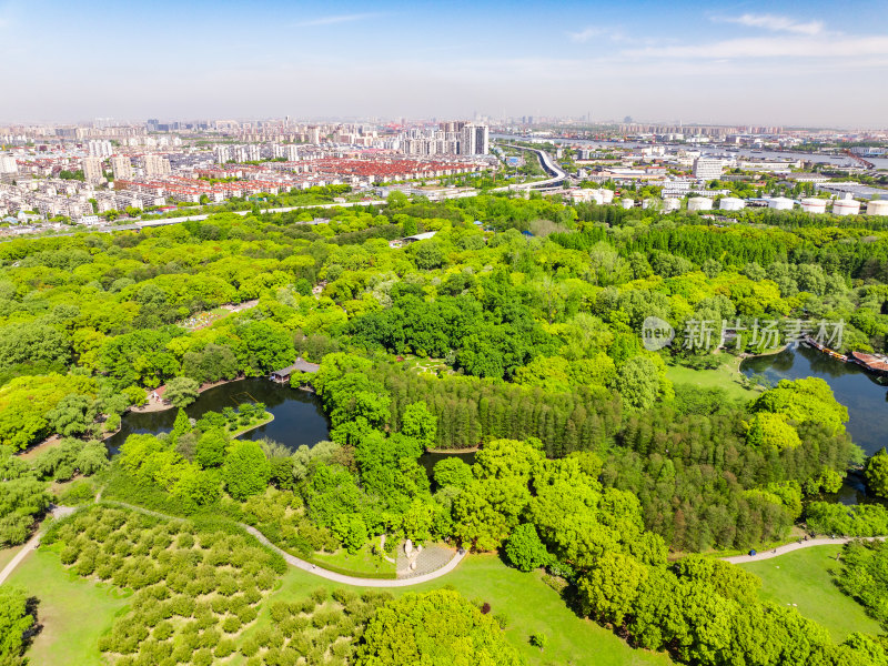 航拍上海城市公园共青森林公园