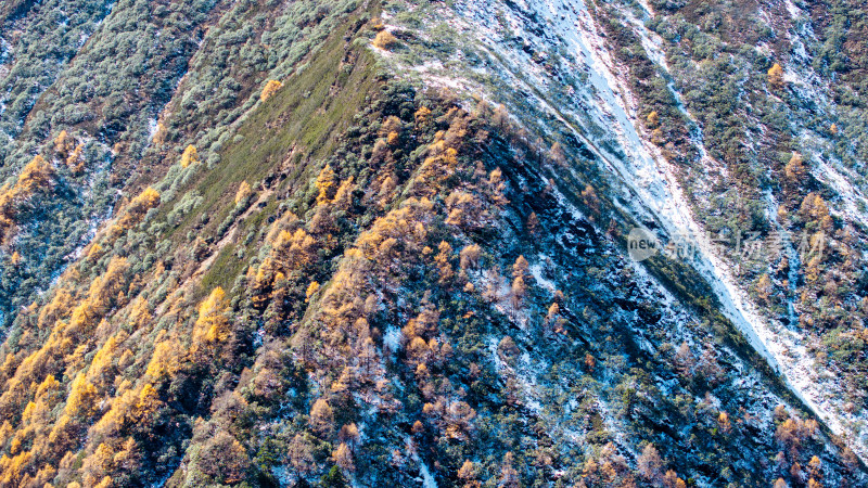 四川阿坝理小路的山区秋日风景