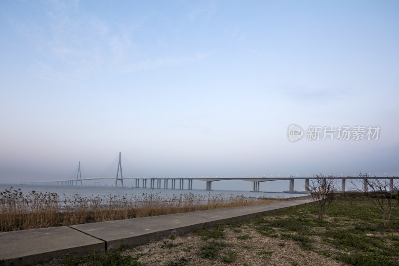 苏通长江大桥