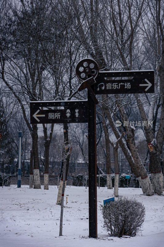 下雪的公园特写景观