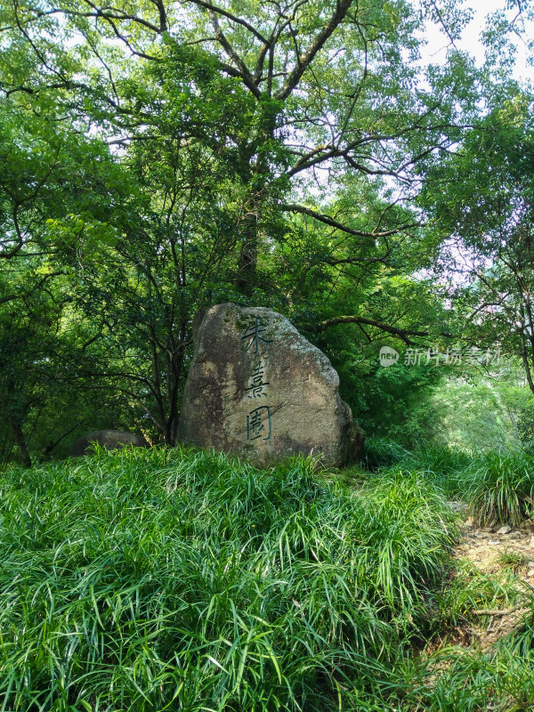 武夷山风景区