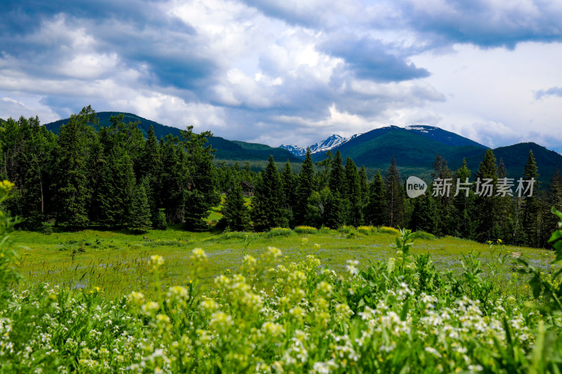 中国新疆喀纳斯河春夏季风景