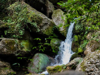 成都都江堰市青城山后山风景