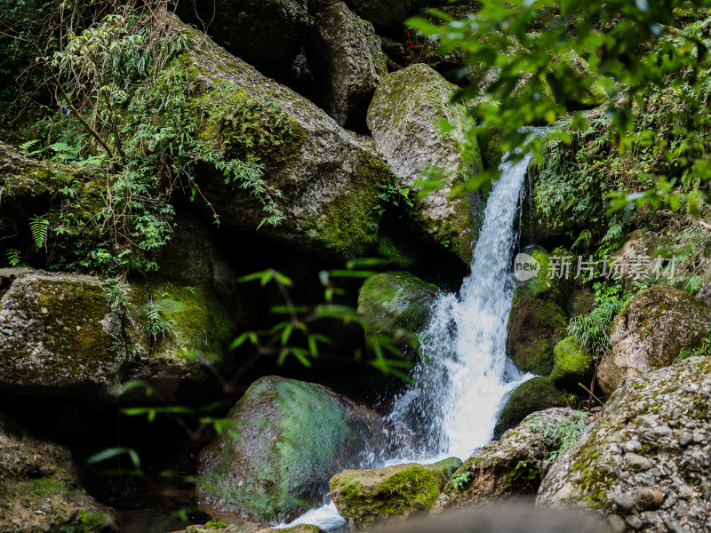 成都都江堰市青城山后山风景