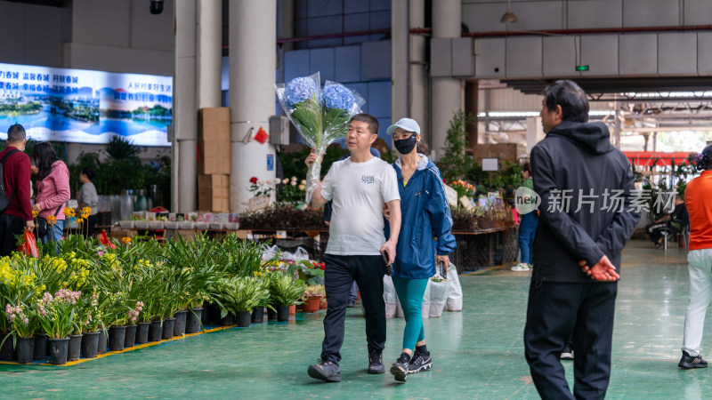 云南昆明斗南花市吸引大量游客前来买花