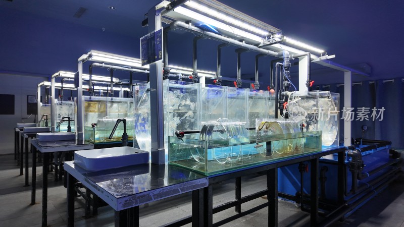 水母培养科学实验室