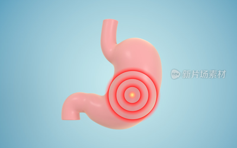 胃部图解 3D渲染