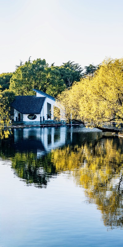 湖畔中式小屋与倒影风景上海共青森林公园