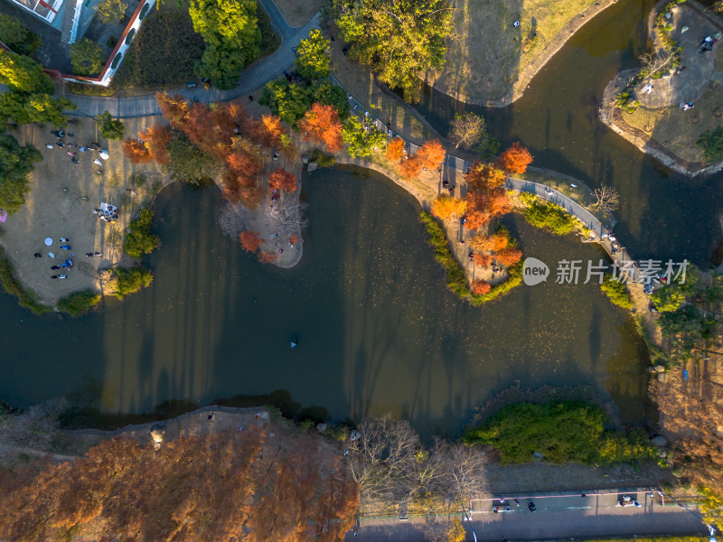 福州城市中色彩斑斓的树林全景