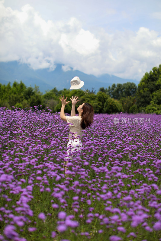 在薰衣草花海里的美女