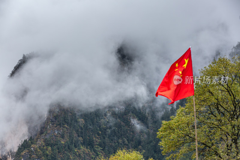 秋天树林云雾山峰