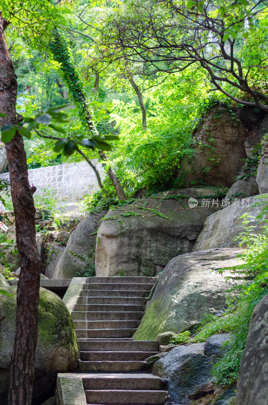 青岛崂山仰口景区，山间的石阶