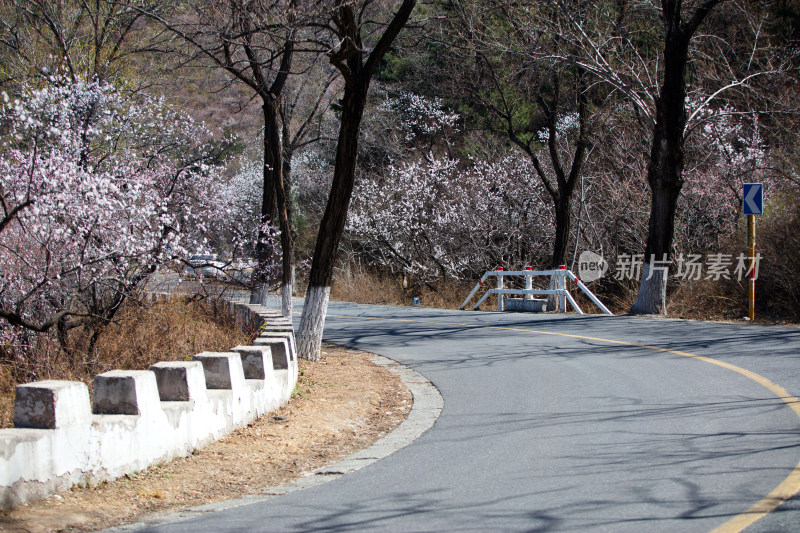 春天山花里的北京昌赤路