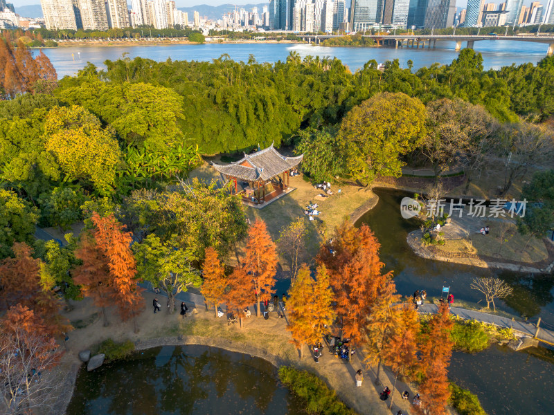 福州城市中色彩斑斓的树林全景