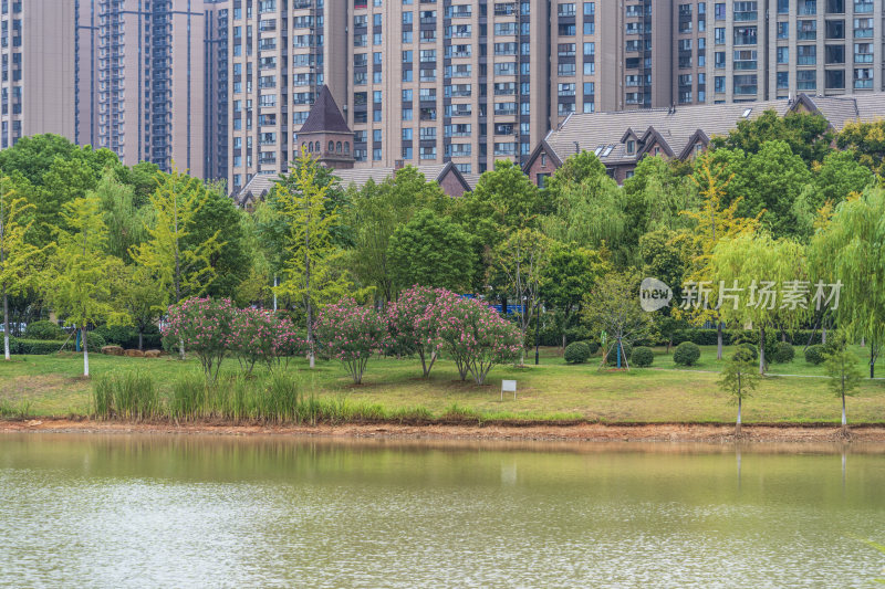 武汉江夏区韵湖湿地公园风景