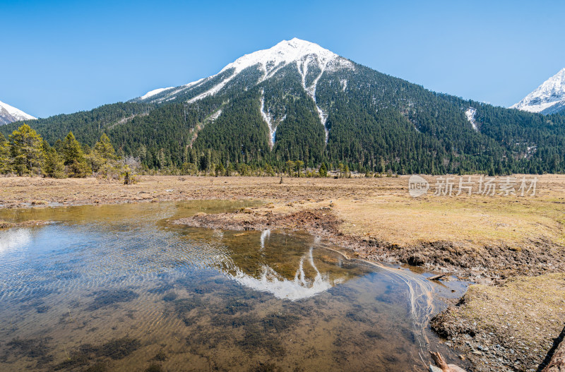 西藏林芝 巍峨雪山溪流湖泊与原始森林特写