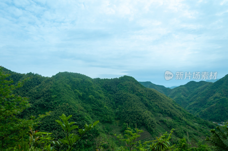 山中的自然风景