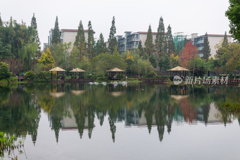 公园湖边风景