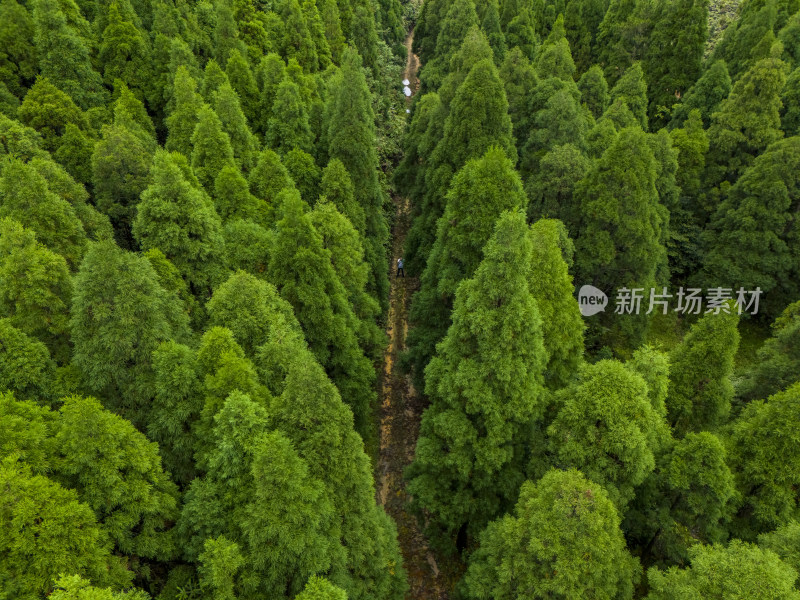 森林大山航拍