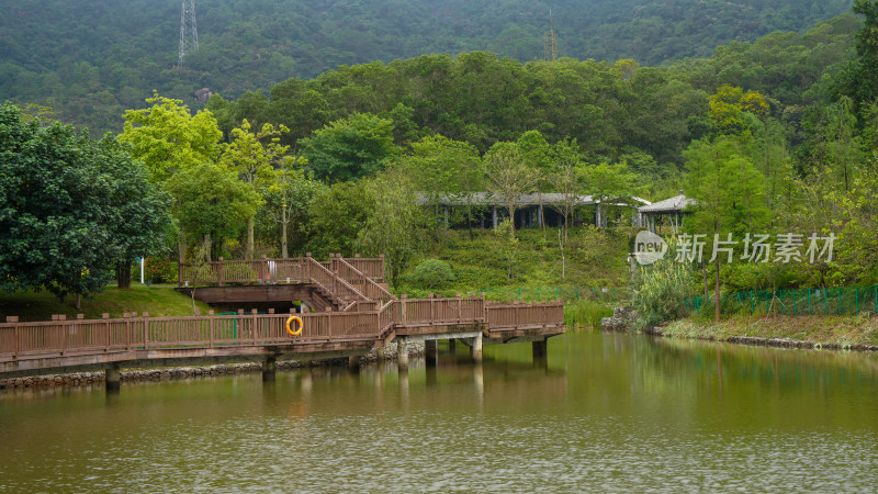 深圳簕杜鹃谷公园自然风景