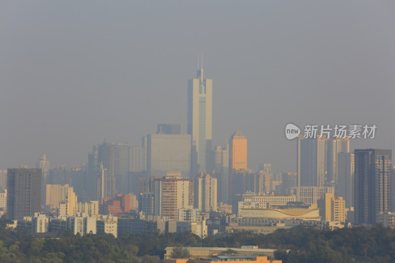 城市高楼林立的壮观景象