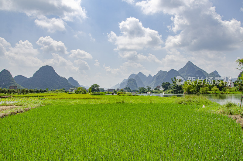 广西桂林遇龙河 山水人家 田园风光