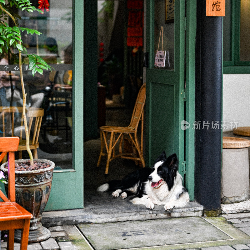 午后的咖啡店