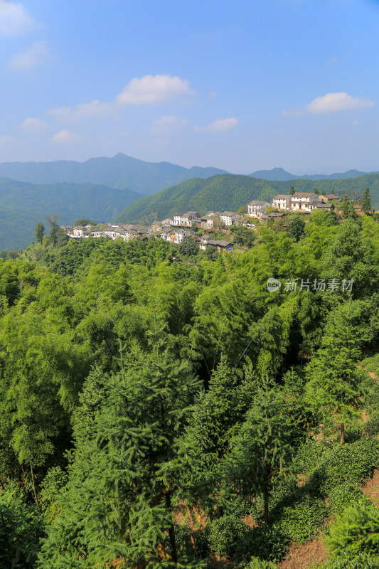 山脉 山坡 森林 山村 宁静 唯美 绿色