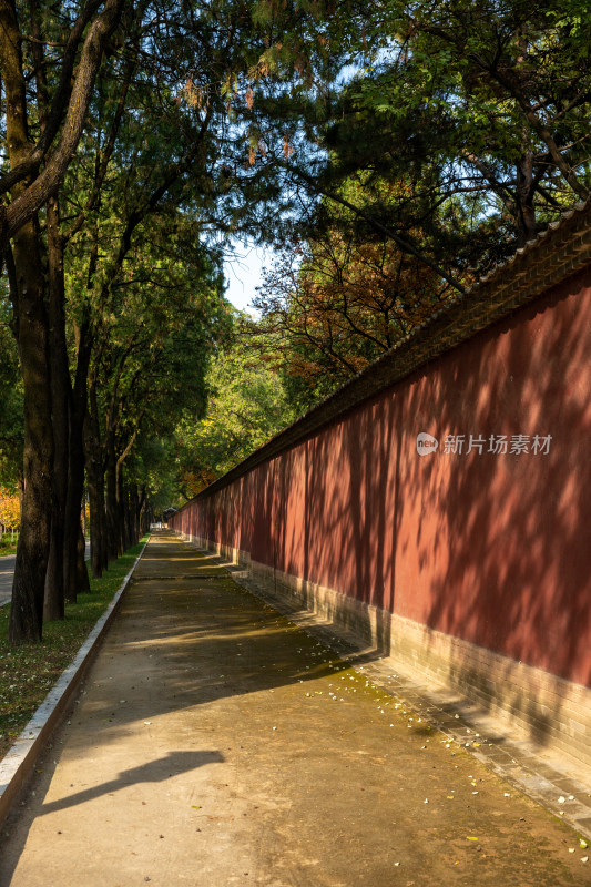 山西芮城永乐宫道教吕洞宾古建墙绘文化遗产