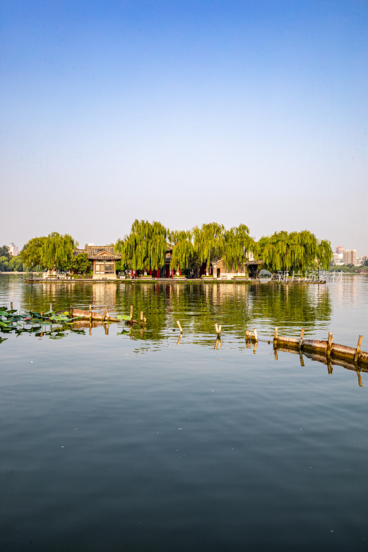 山东济南大明湖风景区自然景观与城市风光