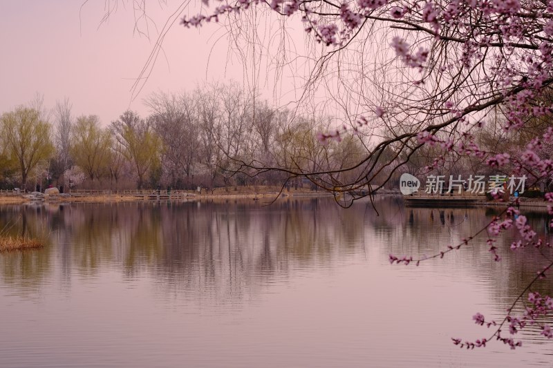 风景系列