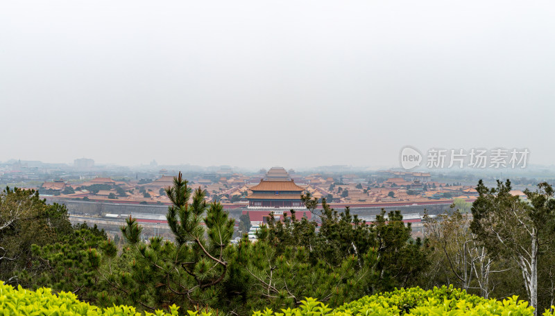 北京景山公园看故宫博物院建筑景观