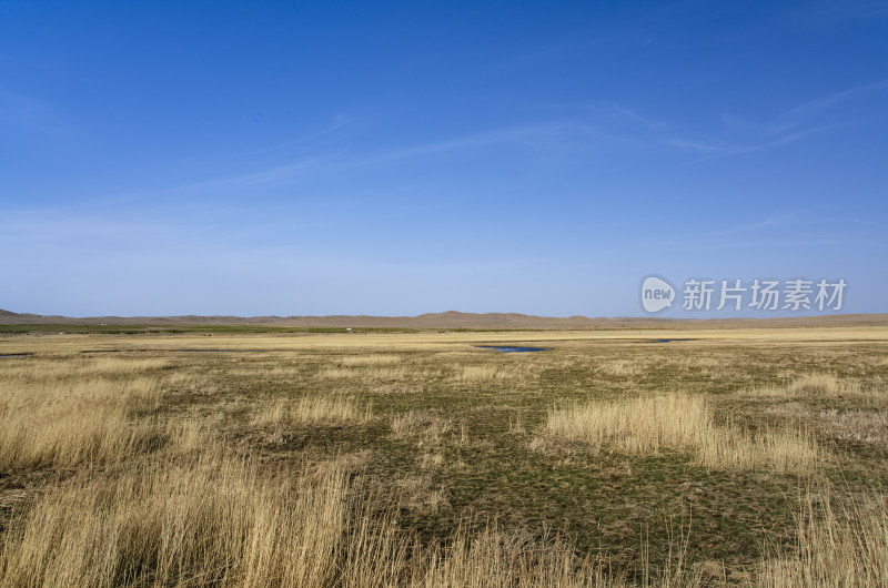 内蒙古锡林浩特锡林九曲景区草原秋色