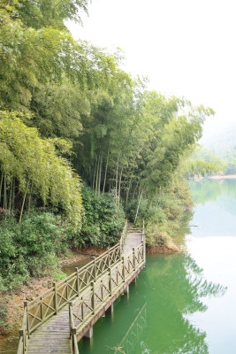 浙江湖州德清县上杨村静谧的湖光山色