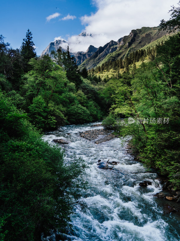 阿坝州四姑娘山长坪沟