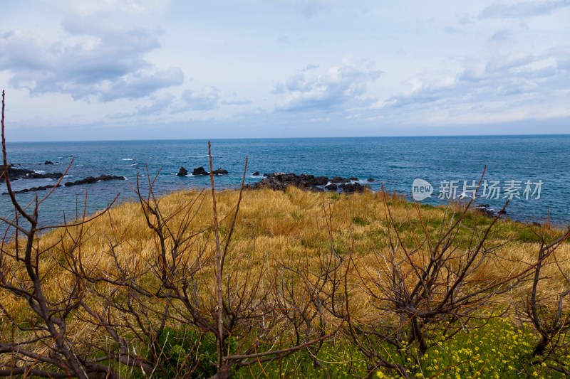 韩国济州岛海边