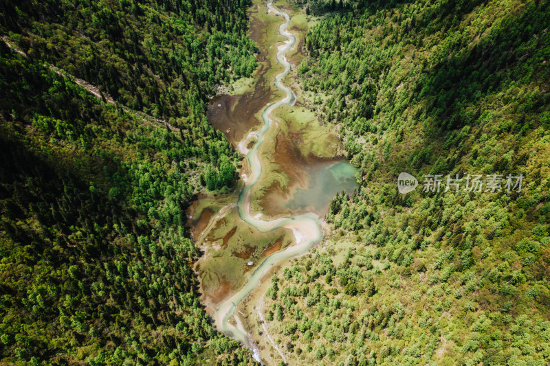 阿坝州四姑娘山长坪沟