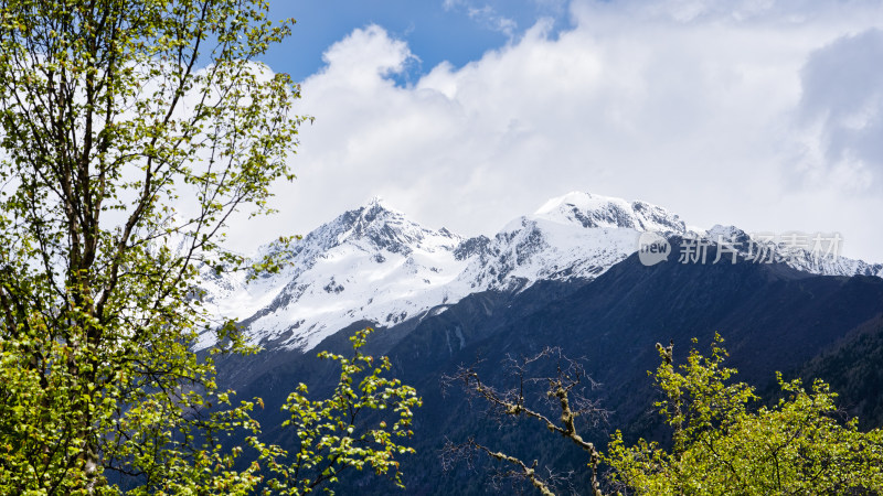 四川阿坝的地标雪山四姑娘山