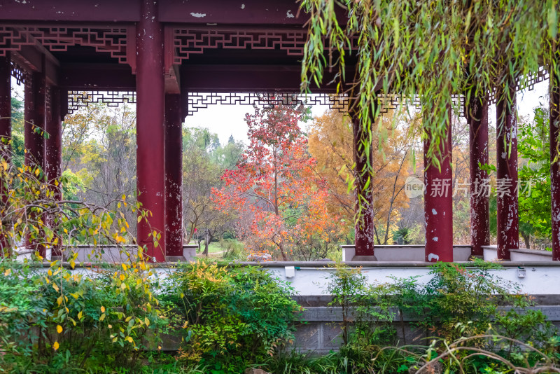 南京钟山风景名胜区明孝陵园林风景