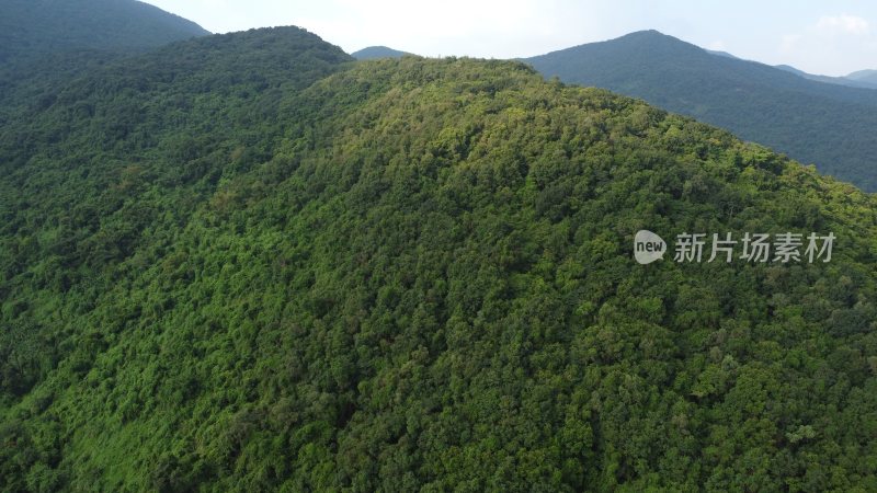 广东东莞：青山绿树